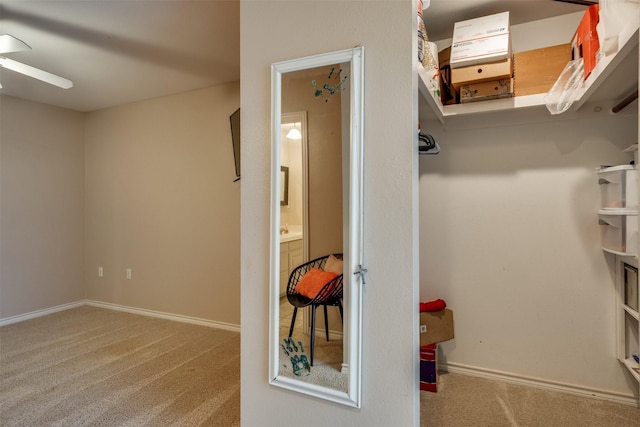 walk in closet featuring a ceiling fan and carpet floors