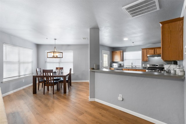kitchen with a notable chandelier, baseboards, visible vents, and stainless steel gas stove