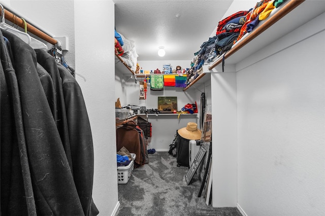 spacious closet featuring carpet