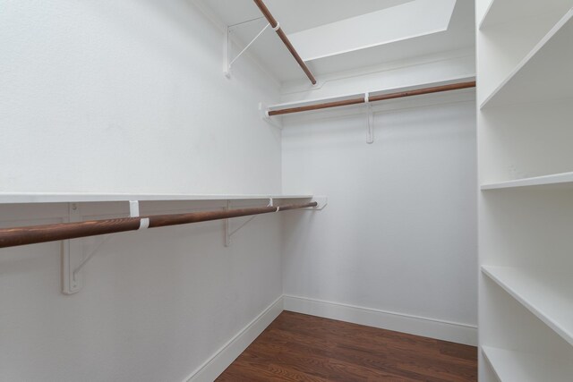spacious closet featuring dark wood finished floors
