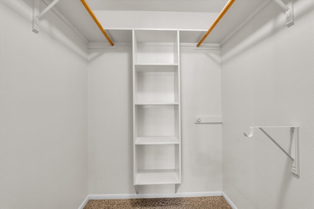 spacious closet featuring carpet flooring