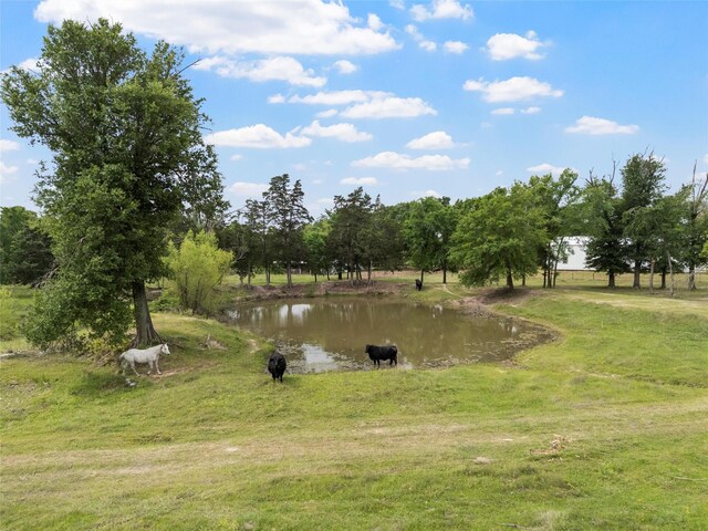 view of water feature