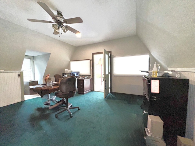 157 Business Blvd, Granbury, TX 76049 - carpeted home office featuring ceiling fan, healthy amount of natural light, and vaulted ceiling