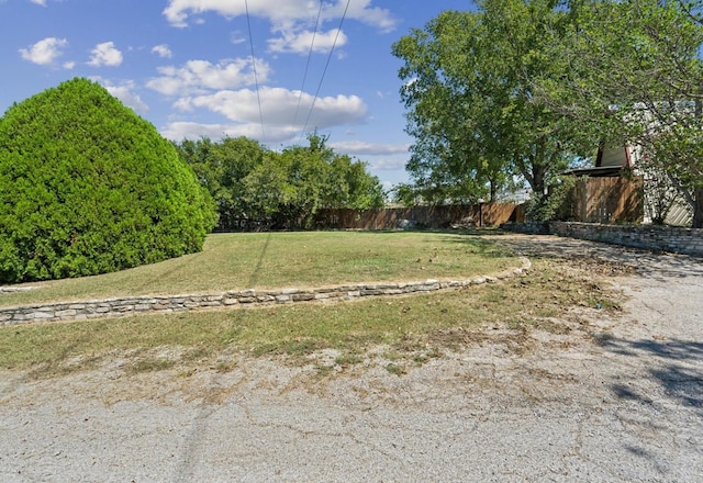 157 Business Blvd, Granbury, TX 76049 - view of yard