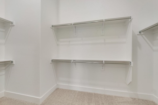 636 Caprice Blf, Fate, TX 75189 - walk in closet with carpet flooring