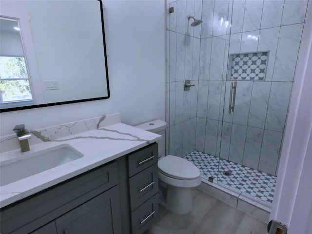 bathroom with toilet, vanity, and a stall shower