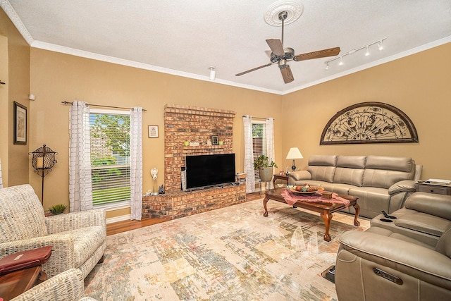 5625 Guadalajara Dr, North Richland Hills, TX 76180 - living room featuring ceiling fan, healthy amount of natural light, wood finished floors, crown molding, and a textured ceiling