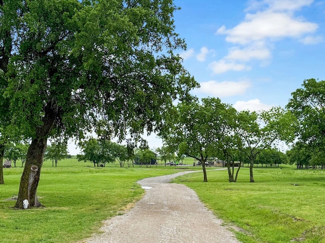 view of community featuring a yard