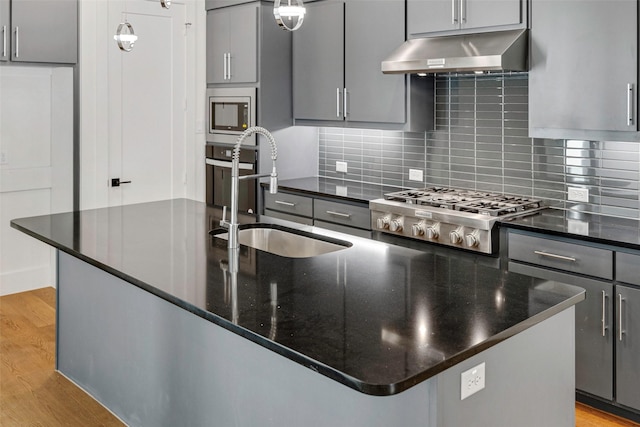 7312 Collin Mckinney Pkwy, Mckinney, TX 75070 - kitchen featuring under cabinet range hood, appliances with stainless steel finishes, a sink, light wood-style floors, and gray cabinets