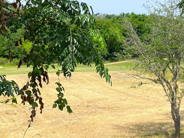 42025 Preston Trl, Whitney, TX 76692