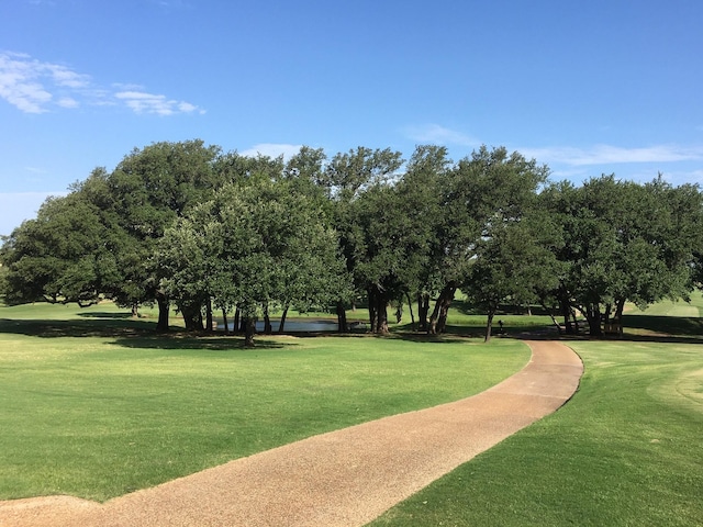 42025 Preston Trl, Whitney, TX 76692