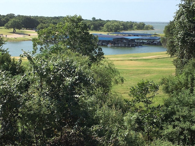 42025 Preston Trl, Whitney, TX 76692