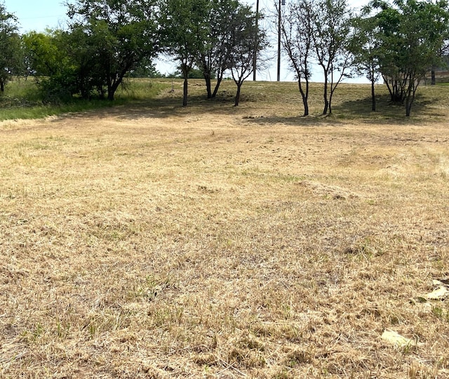 42025 Preston Trl, Whitney, TX 76692