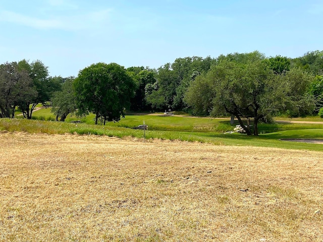 42025 Preston Trl, Whitney, TX 76692