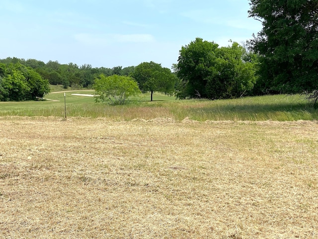 42025 Preston Trl, Whitney, TX 76692