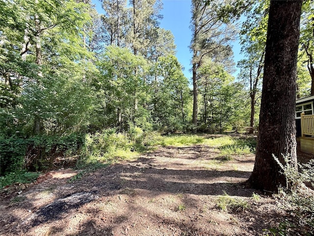 369 County Road 2119, Quitman, TX 75783 - view of local wilderness