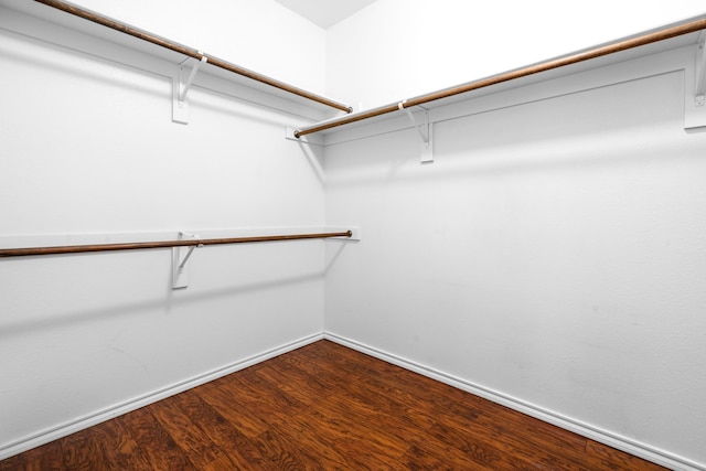 spacious closet with dark wood finished floors