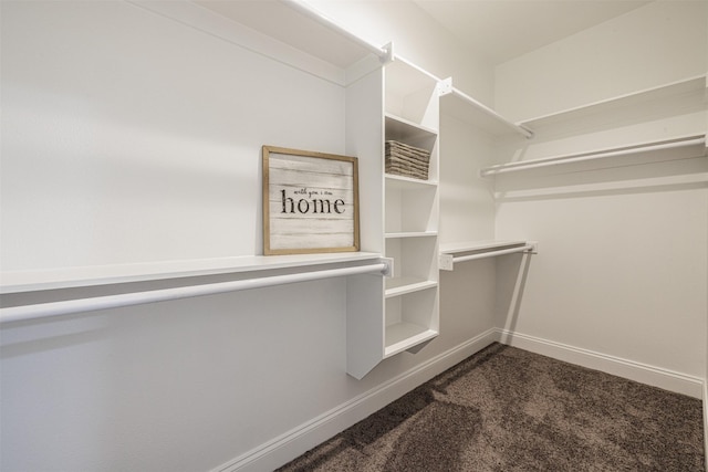 walk in closet featuring dark colored carpet
