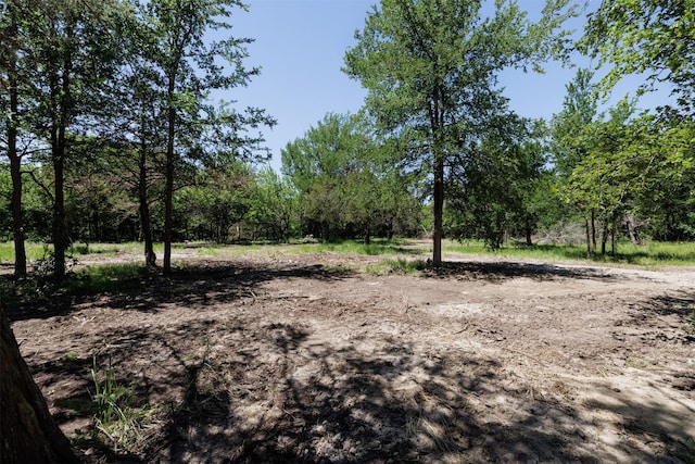 view of local wilderness