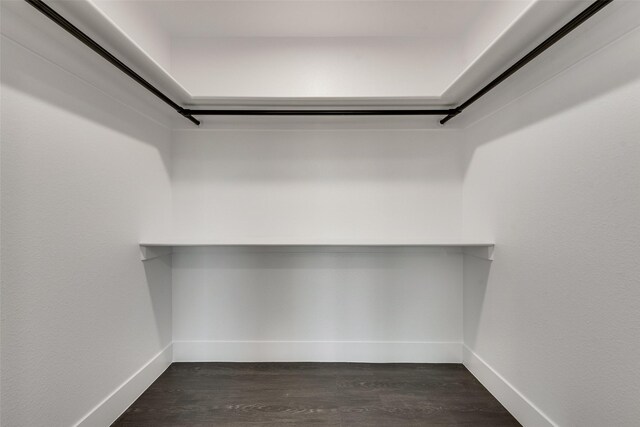 spacious closet with dark wood-style flooring