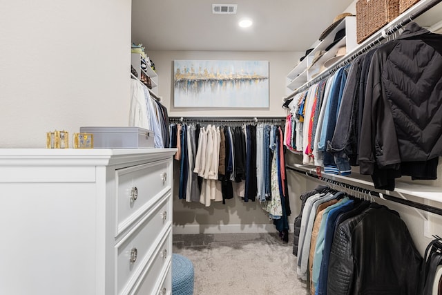 1023 Tea Olive Ln, Dallas, TX 75212 - spacious closet with carpet floors