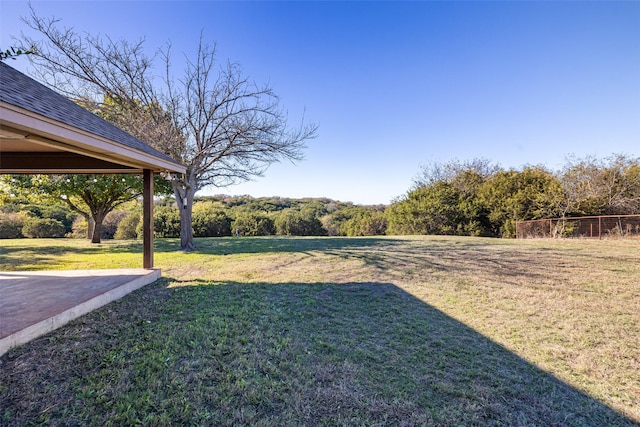 view of yard featuring a patio area