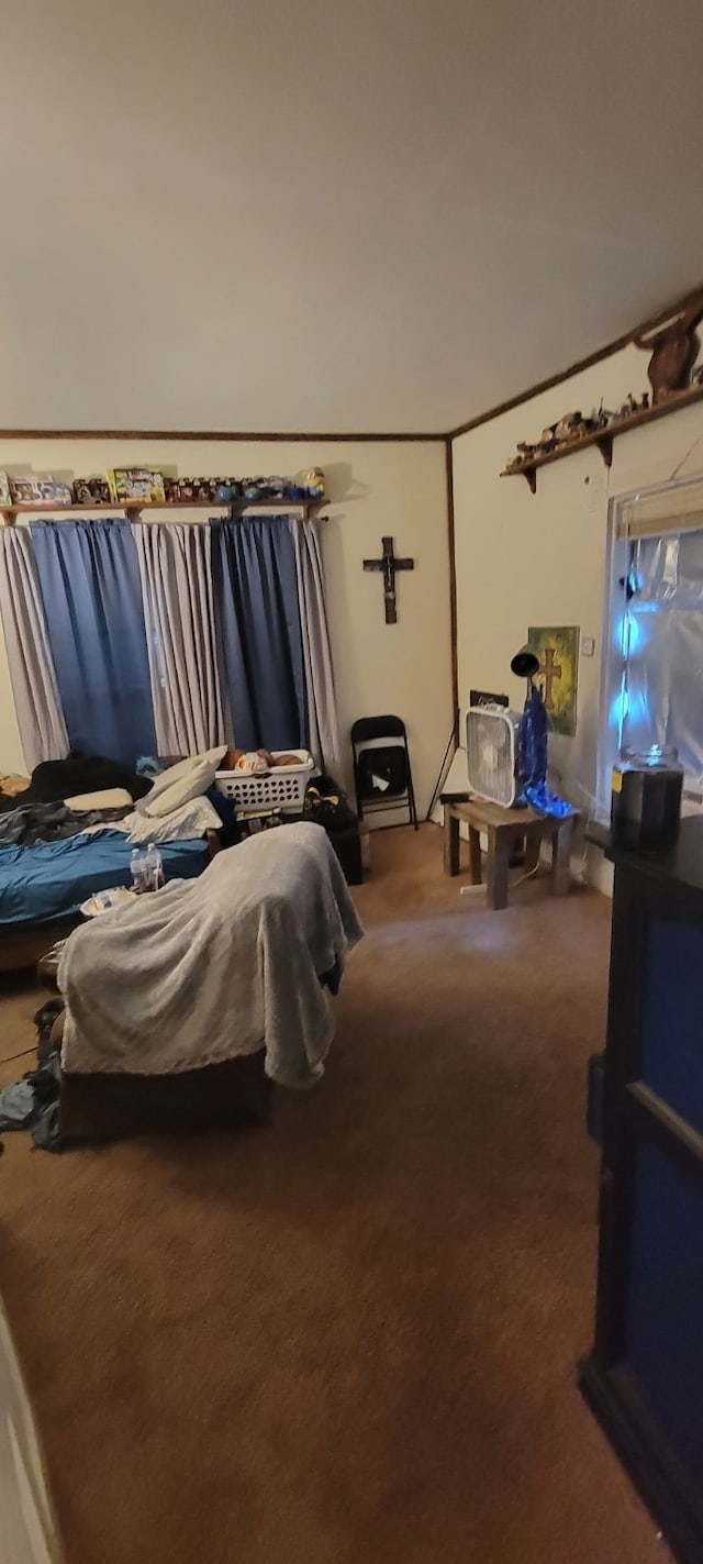 bedroom with carpet floors