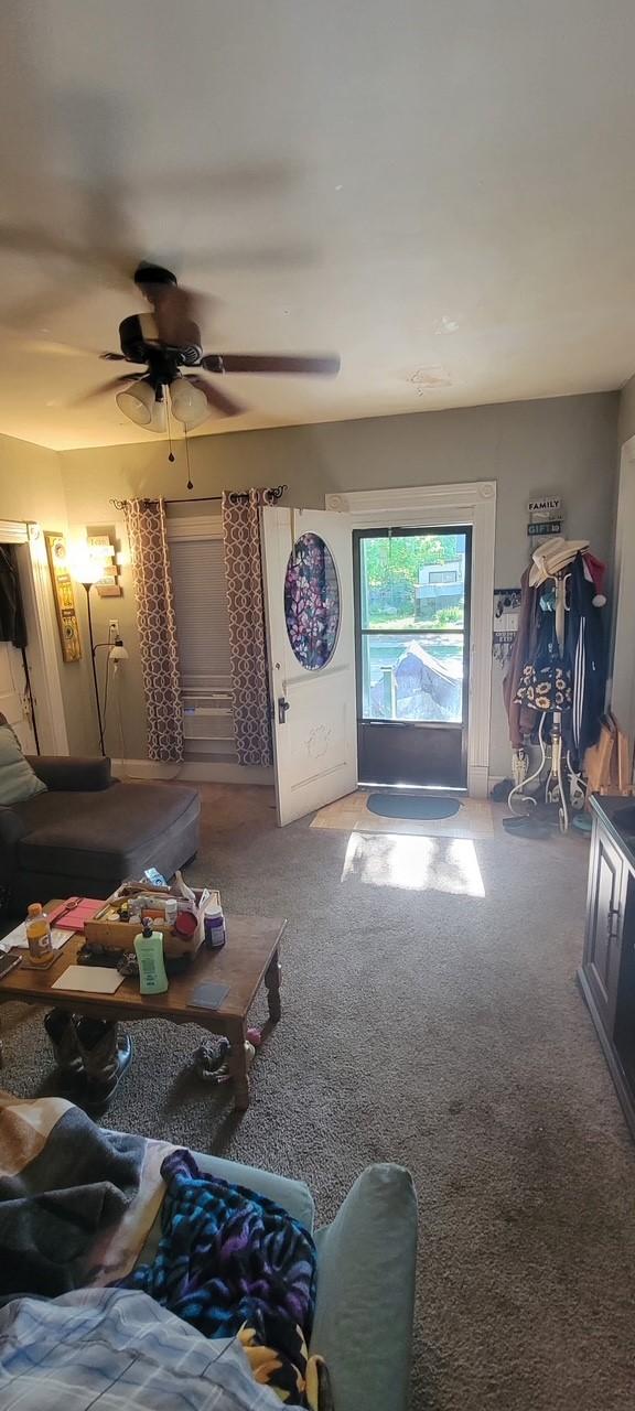 living room with a ceiling fan and carpet flooring