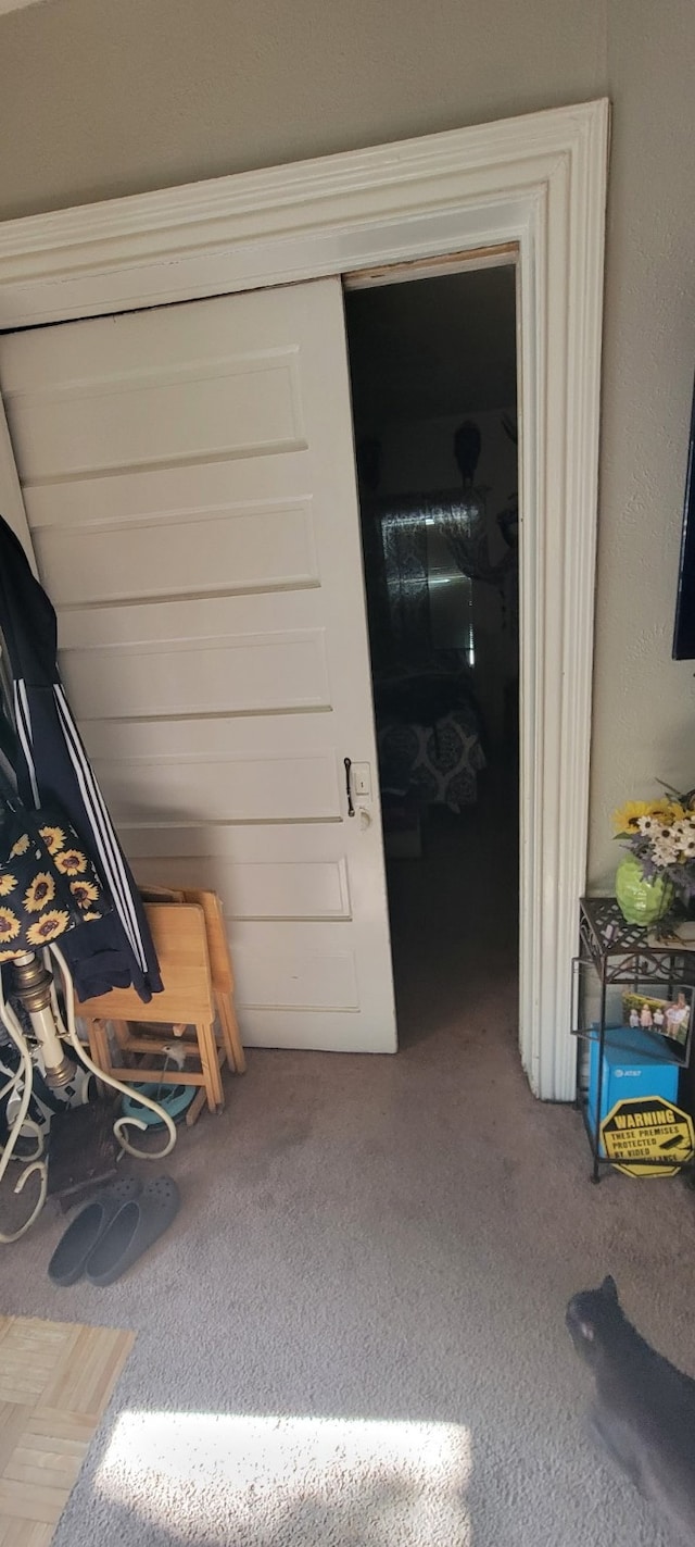 interior space with carpet flooring