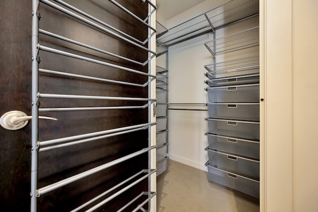 walk in closet featuring carpet flooring
