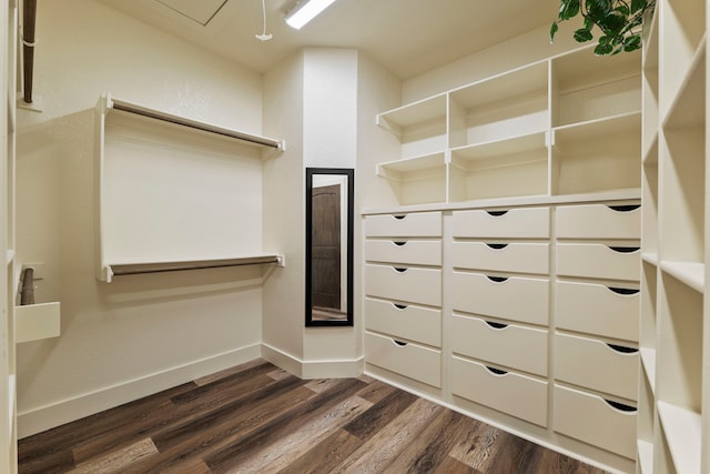 spacious closet with attic access and dark wood finished floors