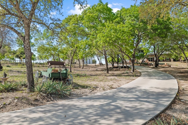 view of community