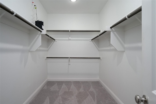 walk in closet featuring carpet flooring