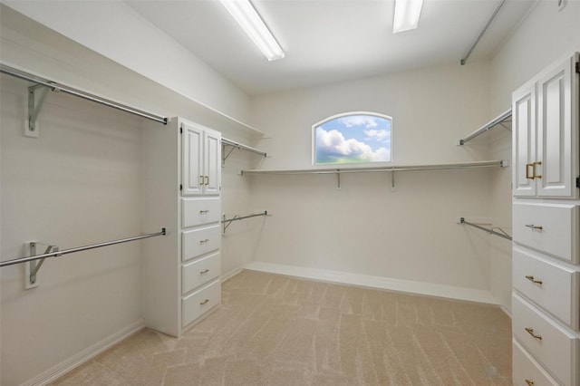 spacious closet with light carpet