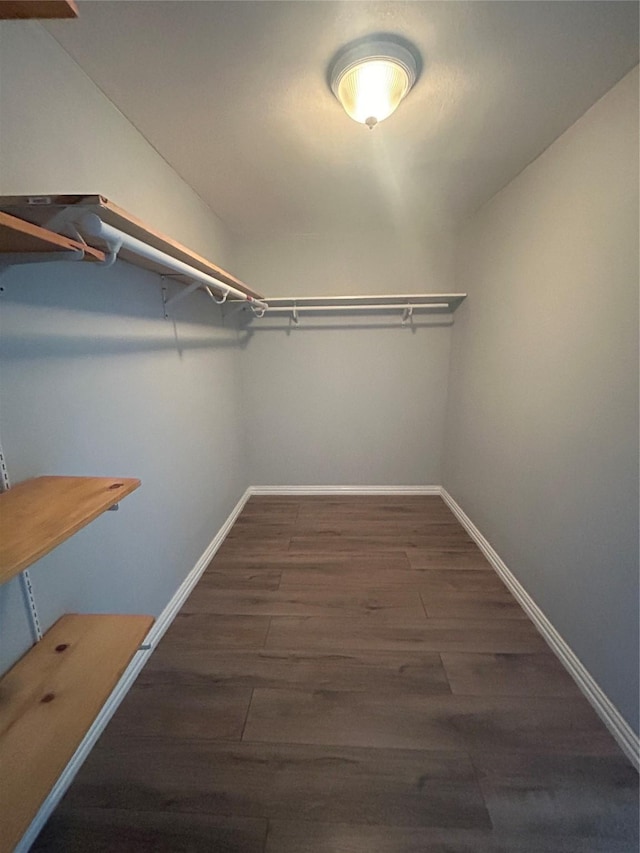 spacious closet featuring dark wood-style flooring