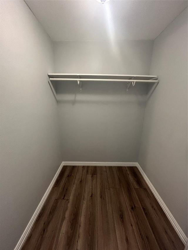 walk in closet featuring dark wood-type flooring