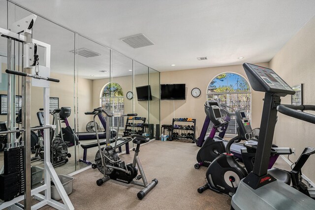6132 Haley Ln, Fort Worth, TX 76132 - workout area with visible vents and carpet floors
