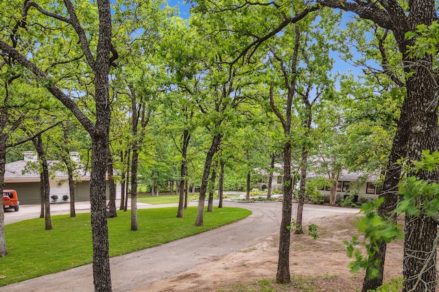 view of property's community with a yard and curved driveway