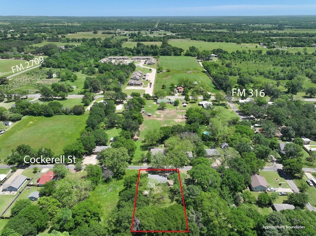 drone / aerial view