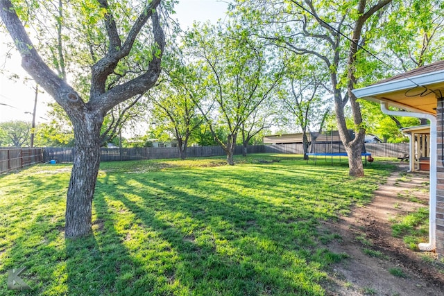 view of yard with a fenced backyard and a trampoline