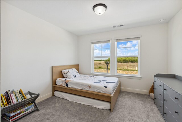 13361 Hedgebrook Pl, Fort Worth, TX 76008 - bedroom featuring baseboards and light colored carpet