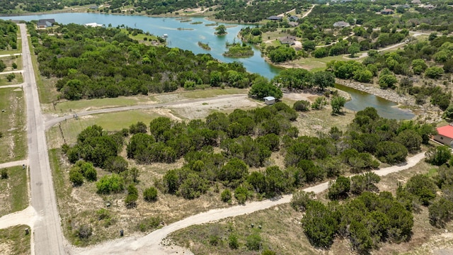 TBD Anglers Point, Bluff Dale, TX 76433