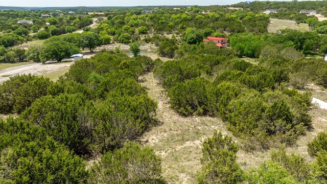 TBD Anglers Point, Bluff Dale, TX 76433
