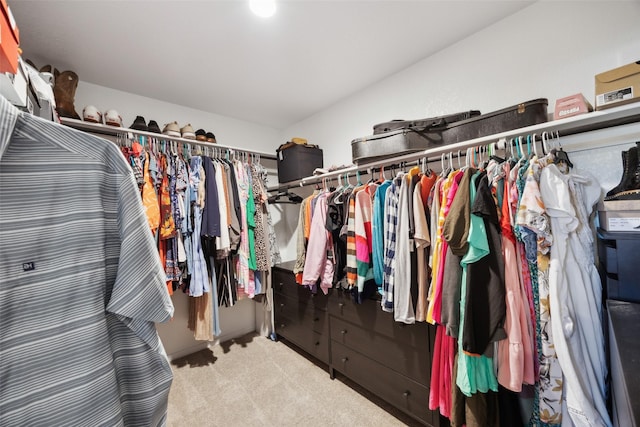 5924 Harvey Gap Ln, Denton, TX 76226 - walk in closet with carpet