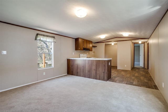 kitchen featuring a peninsula, vaulted ceiling, stove, dark carpet, and light countertops