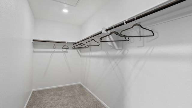 spacious closet featuring attic access and carpet floors