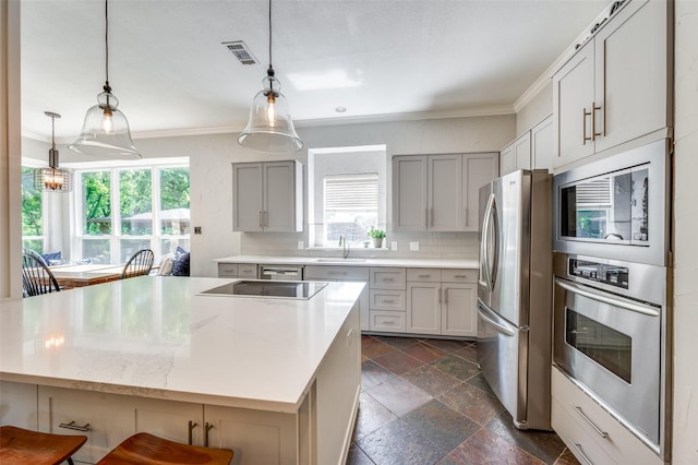 4007 Brooks Ct, Highland Village, TX 76226 - kitchen with a wealth of natural light, ornamental molding, stainless steel appliances, and a sink