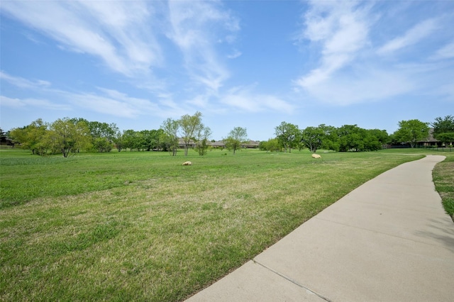 view of yard