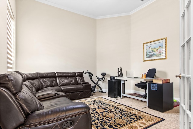 13043 Seattle Slew St, Frisco, TX 75035 - office space featuring carpet flooring, crown molding, and baseboards