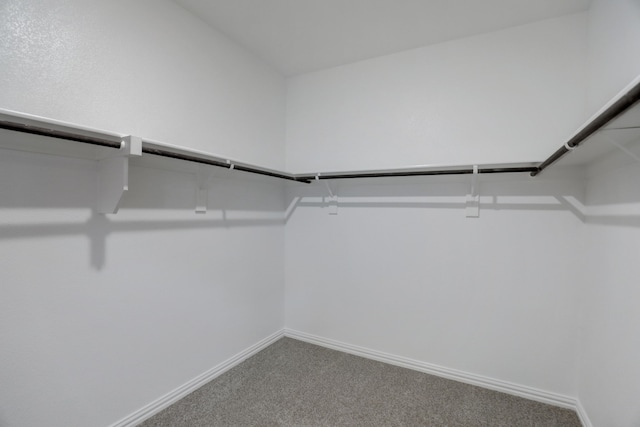 610 Willet Dr, Mckinney, TX 75069 - spacious closet with carpet
